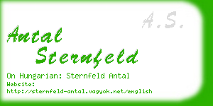 antal sternfeld business card